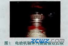 电动机轴承为何会烧坏？预防轴承损坏的保护措施有哪些？