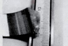 加工中,轴承套圈断裂、裂纹失效分析